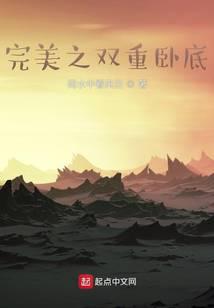 完美之双重卧底